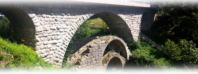 Ponte Forego